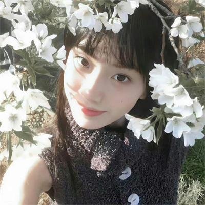 公民哈维尔